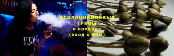 спайс Горняк