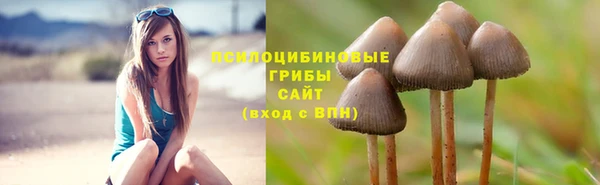 спайс Горнозаводск