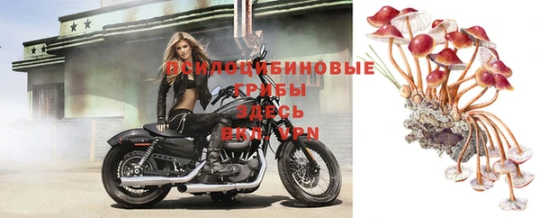 кокаин перу Горно-Алтайск
