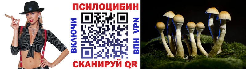 Псилоцибиновые грибы MAGIC MUSHROOMS  Купить где  Осинники 